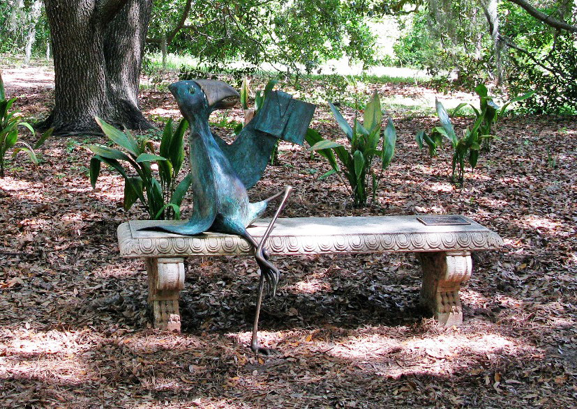 New Bird on Hilton Head Island, SC.