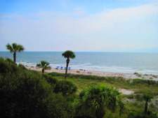 Palmetto Dunes Oceanfront
