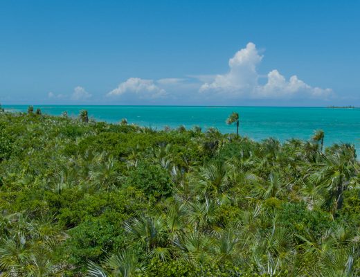 Andros Ocean Views