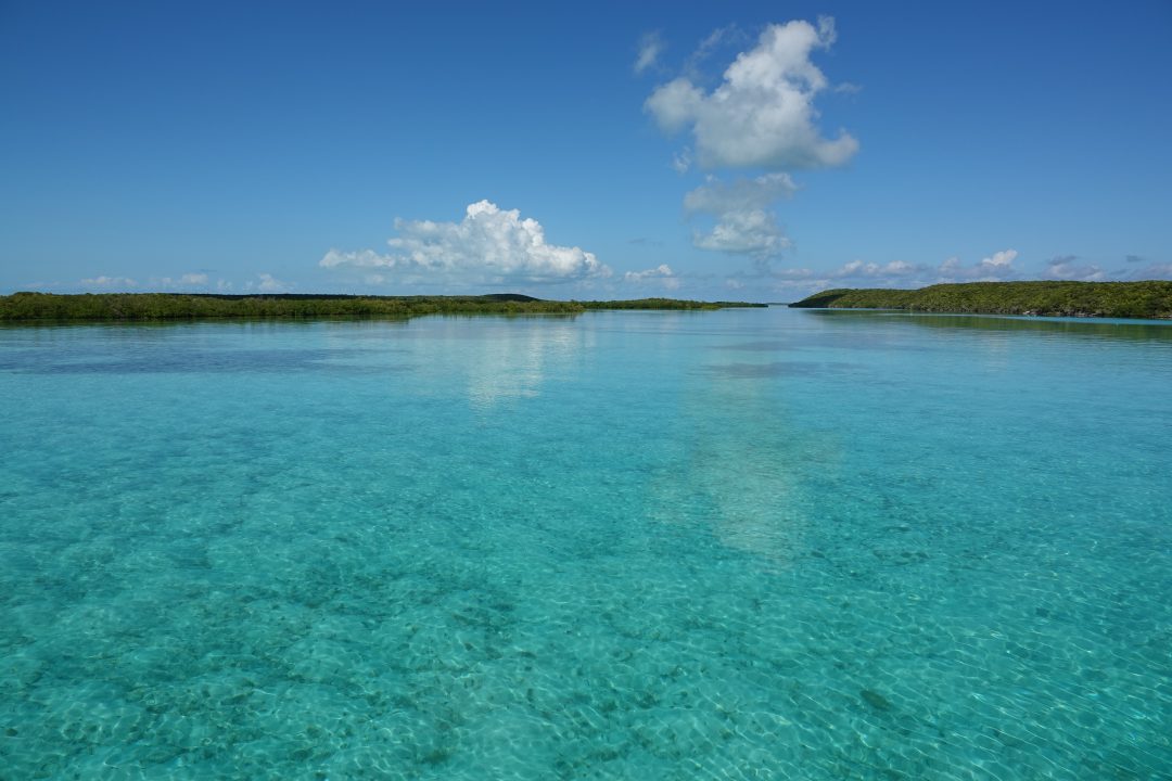 Sand Dollar Cay