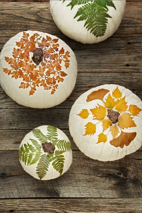 photo credit http://www.countryliving.com/home-design/decorating-ideas/advice/g1536/fall-decorating-ideas/?slide=24